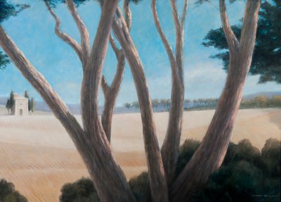 Pines near Pienza, 2012 by Lincoln Seligman